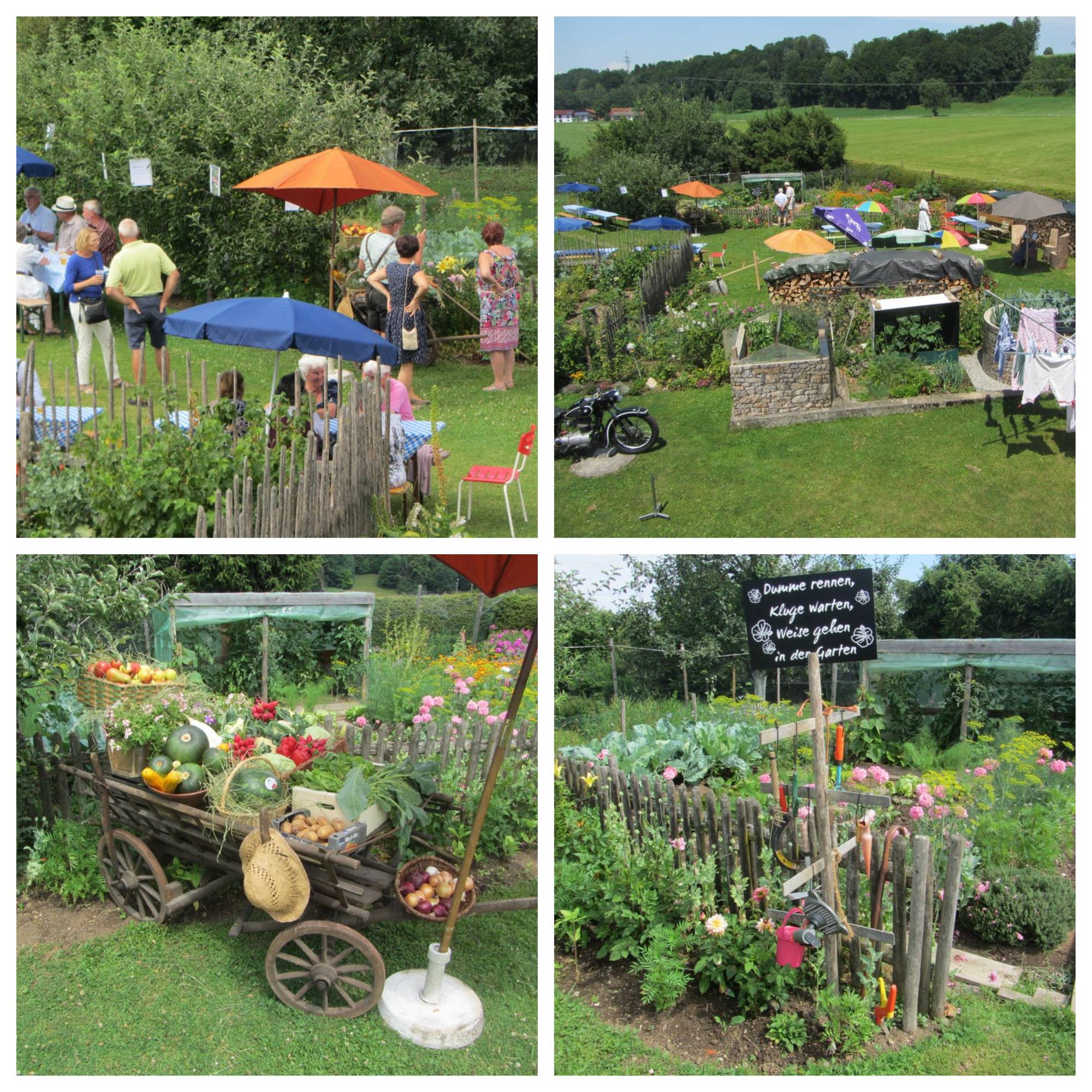 Bilder von Gärten, wo sich Besucher Pflanzen und Beete ansehen.
